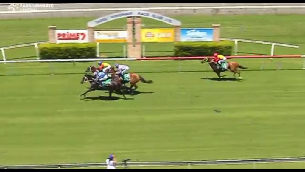 Leesracing's tweet photo. Nice win  #StarReflection &amp; Nice ride @gibbo7822 @Austbloodstock @Nabby_9 #Leesracing https://t.co/b6O5Z6wef2