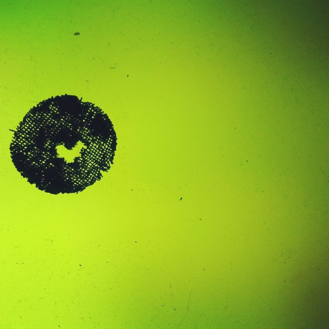 bluishpandabear's tweet photo. "I love you so much, but I've given you all I got."- screen 
#hole #heartshaped #screen #fourtwenty #pokesmot  #weed https://t.co/oDGvvACuEs
