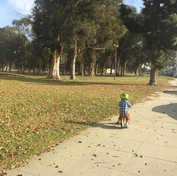 Zippizap_uk's tweet image. I heart playground.