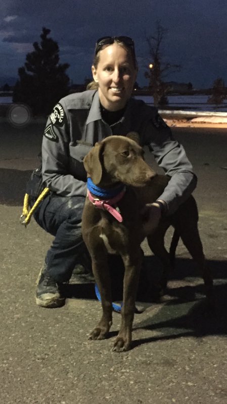 Spotofclass's tweet image. Found, safe, "Raven"! Thank you to all that helped!! It was a wonderful ending to a scary few days!