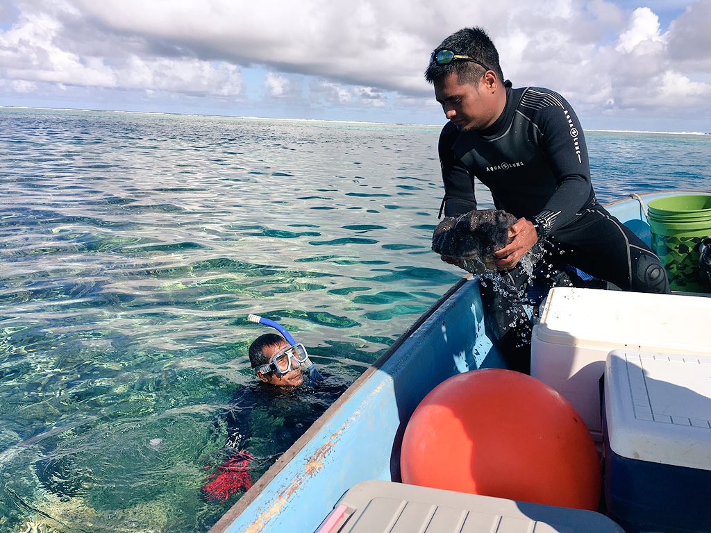 Matthewsella's tweet photo. #IACTProject video https://t.co/p8ZrtWabRP @spc_cps @EUPasifika #Agribusiness #aquaculture #agriculture #business https://t.co/AODGqPVE3b