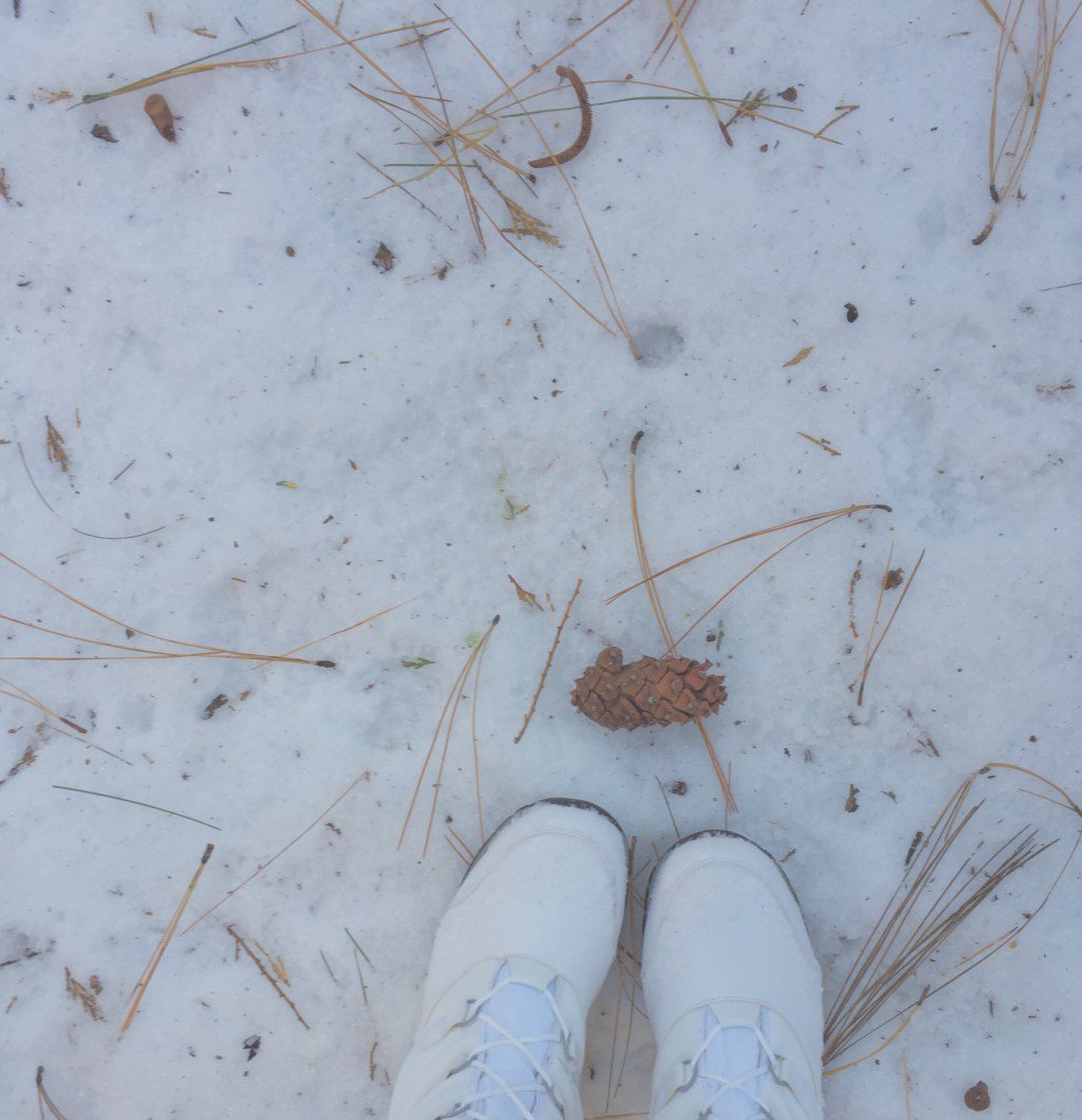 KaylaCWilson's tweet photo. 365 Day Adventure: Starting Today https://t.co/QCsirN11ZB https://t.co/O4odnUyetL