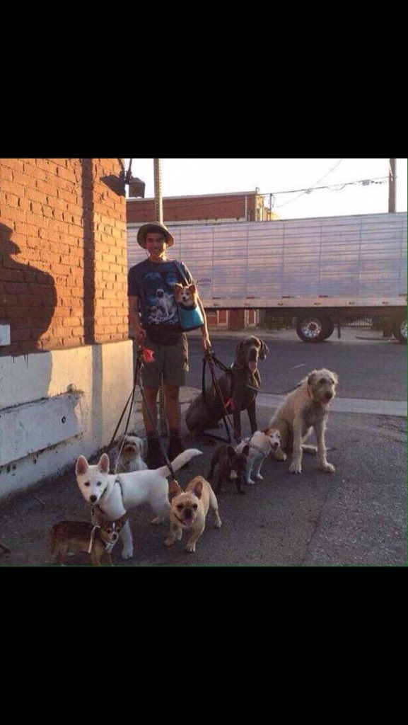 hesforinfinity's tweet photo. #20DOC
day 13: calum + music videos 💓💓 https://t.co/rMjpT2e7IC