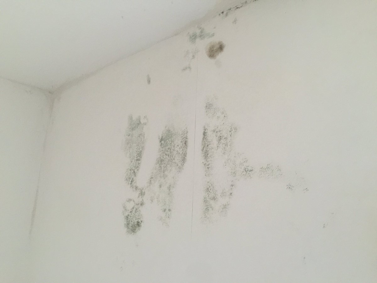 Dryabode's tweet image. #stormdamage and #penetratingdamp keeping us busy following British storms.