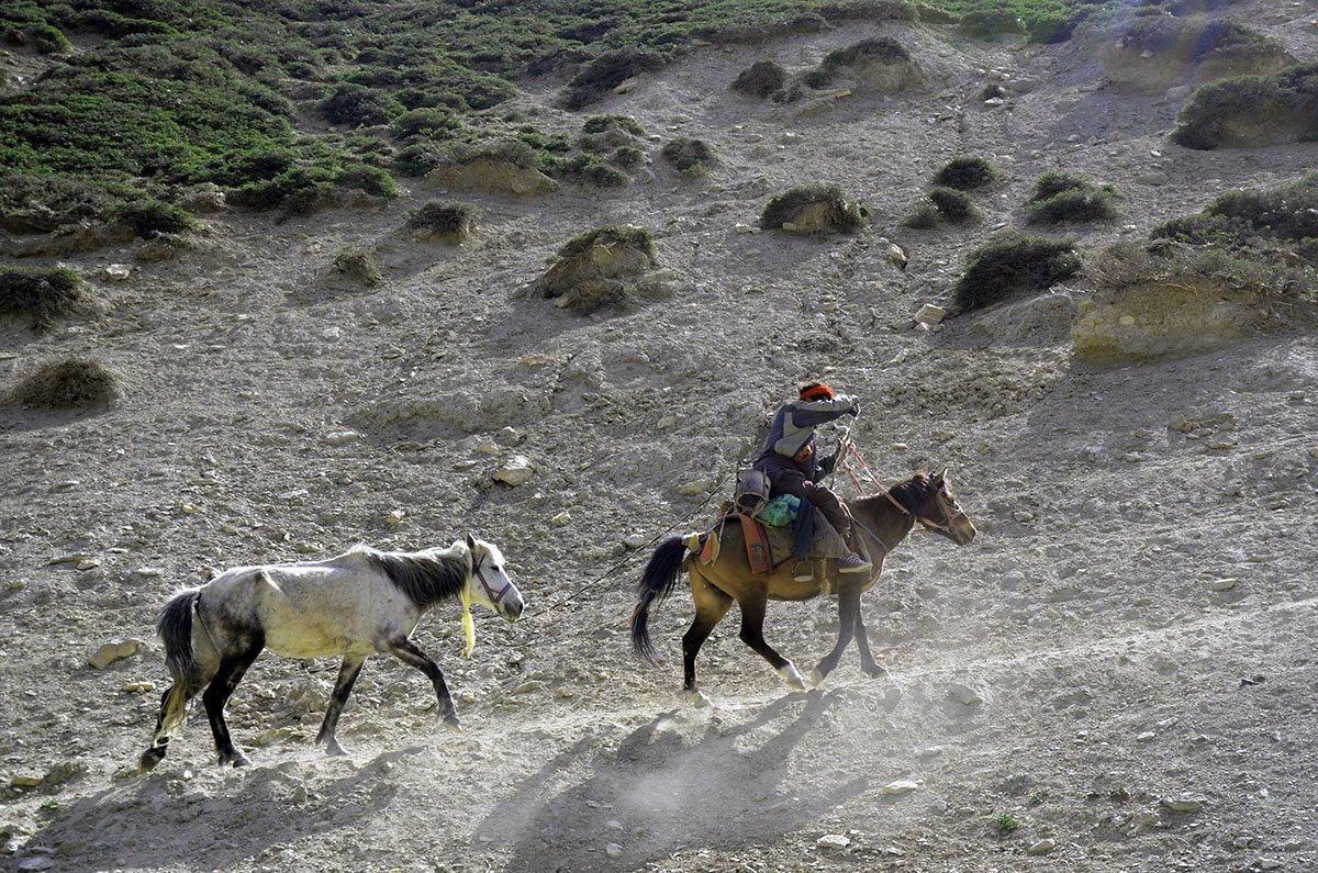 explorehimalaya's tweet image. Dolpo Trek 
#Dolpo #Trekkinginnepal #Explorehimalaya  #Nepali 
goo.gl/e2UV7b