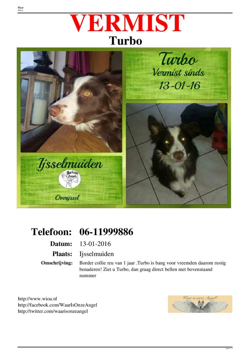 Lieve medelanders sind nu 7 dagen word de bordercollie van mijn kinderen vermist .
Omgeving #ijsselmuiden #grafhorst