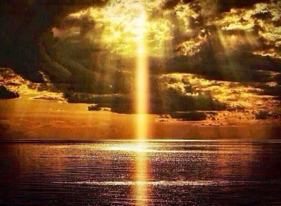 PardueSuzanne's tweet photo. Always let your heart shine
bright... because the inner
light will guide you home
even in the darkest night. https://t.co/aTaHLLKCvn
