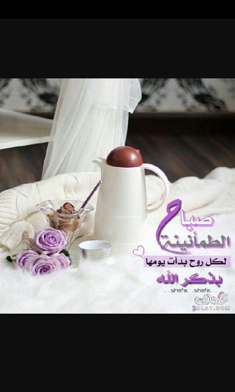 فتاه تحقق حلمها  (@alabadey99) on Twitter photo 