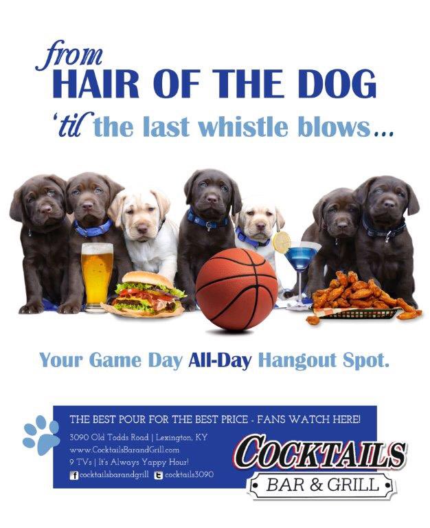 copperrules99's tweet image. Copper &amp;amp; Belle's gorgeous pups used for Tops magazine Jan 2016 ad.