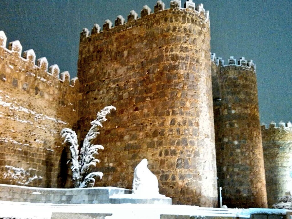 Embedded image permalink