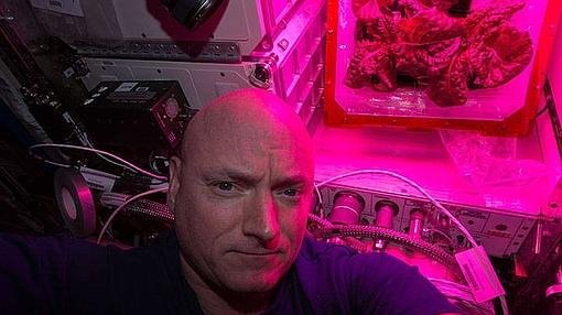 DonSeguidorOrg's tweet photo. La primera flor que crece en el espacio (fotos) https://t.co/Xz8cpEpMVZ https://t.co/AHqsSYoKwI  https://t.co/y18pkj5VUc #Siguemeytesigo