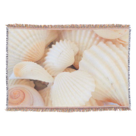 URSparklingShop's tweet photo. Woven Throw #Blanket Sea Shells #ShellsWorld Sunny Summer Beach #homedecor https://t.co/ZfggMmcGWY
