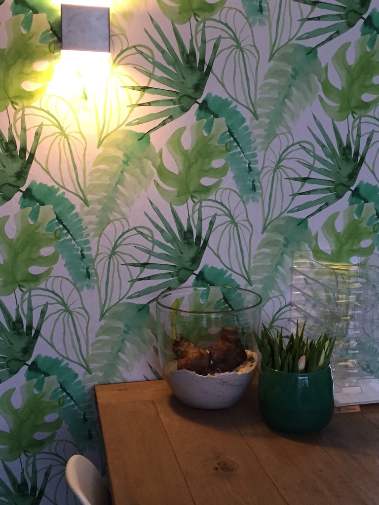 stylingadvies's tweet photo. Zoo! Op 'Blue Monday' een fris behangetje! En we kunnen er weer tegen aan!! #werkplezier!! https://t.co/Q7Mzp9F3xz