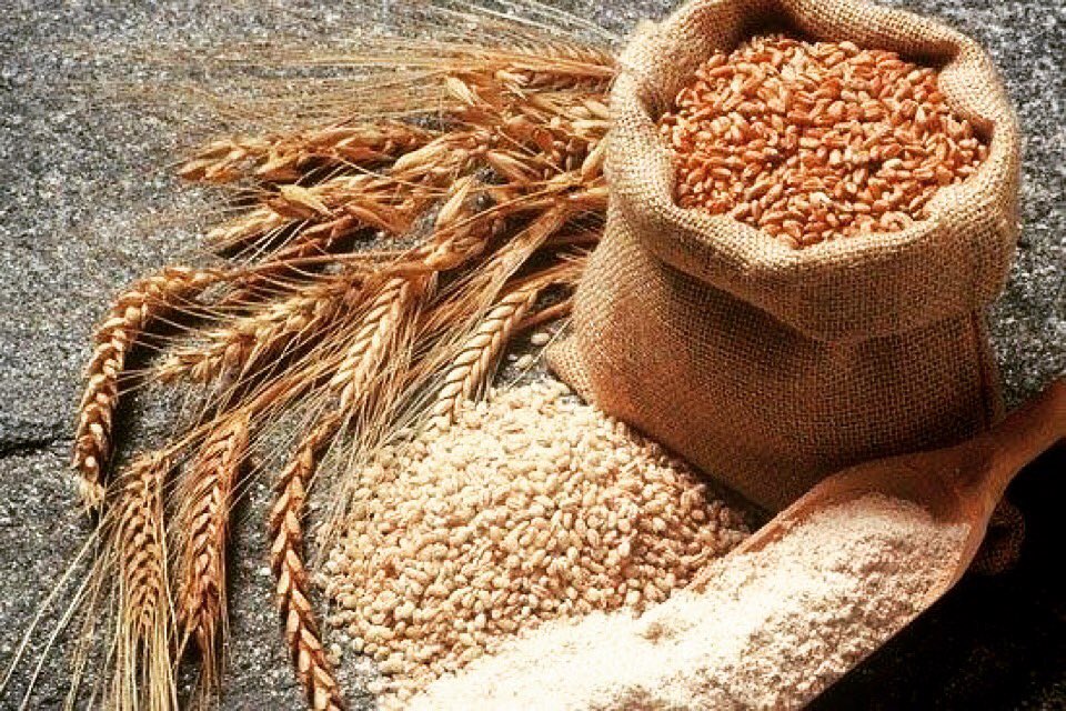tredicisweets's tweet photo. Da domani, #cornetti al #farro al Tredici! 😊 https://t.co/810oYwEP9O