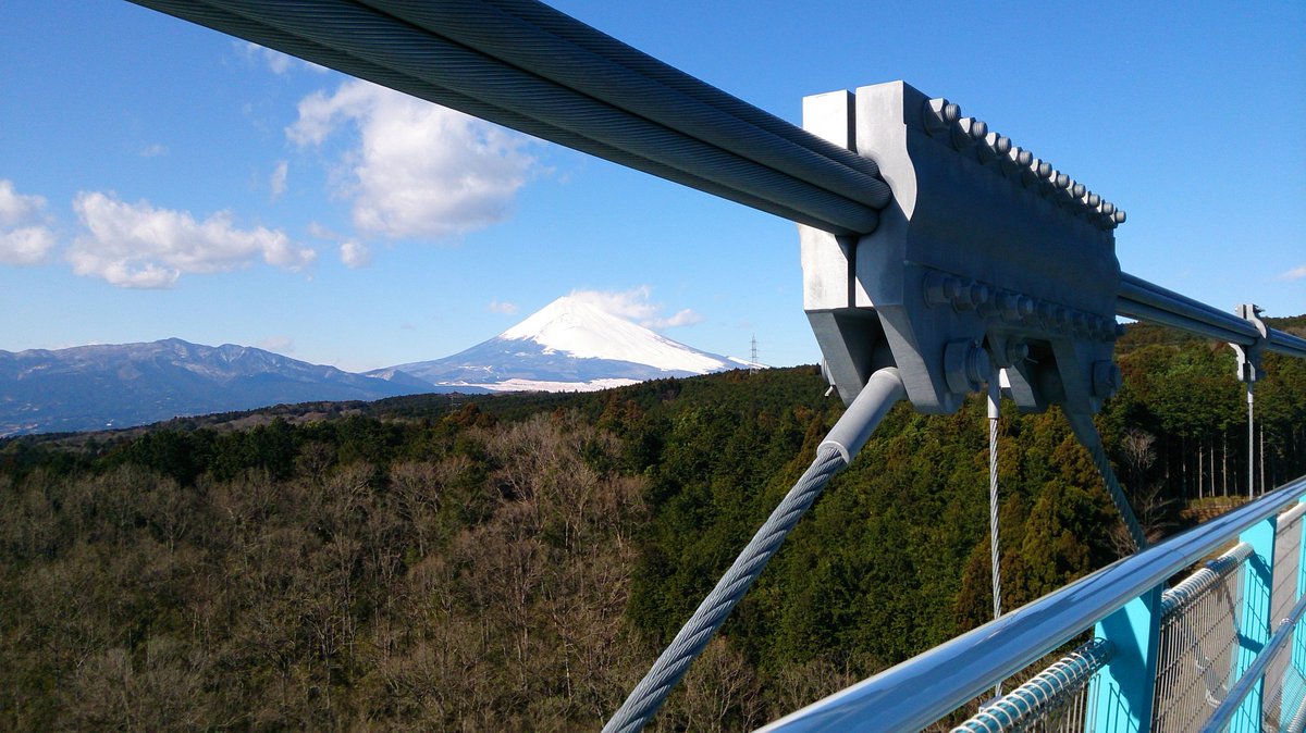 mitemite5's tweet photo. 強風でも渡ってみた❗ https://t.co/Rq1y79yITk