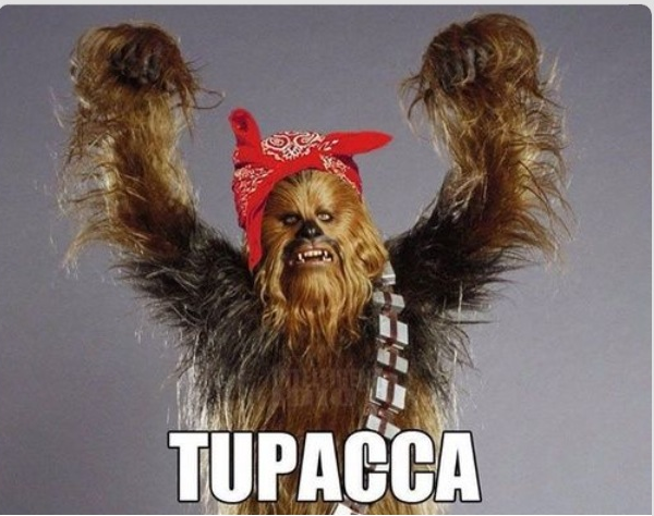 RealDiscoDonnie's tweet image. Night all, I leave you with this.. 
Even though you're fed up,
you gotta keep your head up -  :-)