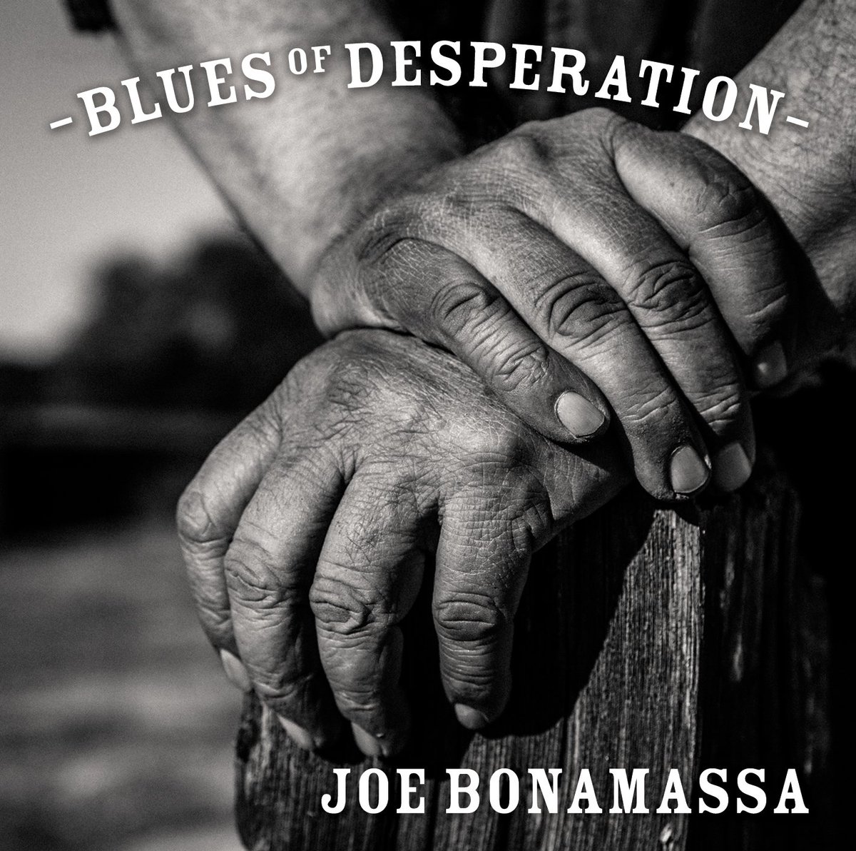 Noble_PR's tweet photo. .@JBONAMASSA Blues of Desperation; new Joe Bonamassa album! https://t.co/GYF8sumlR5 @Joe_Bonamassa @MLG_Rocks #Blues https://t.co/NzmYfOlP5H
