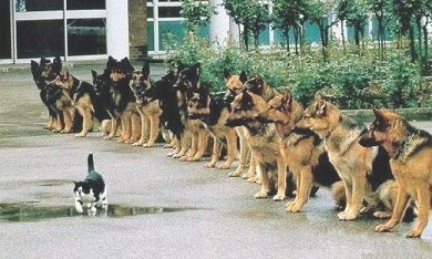 Porque la disciplina es mucho más importante que la motivación

ctlagarriga.com/porque-la-disc…