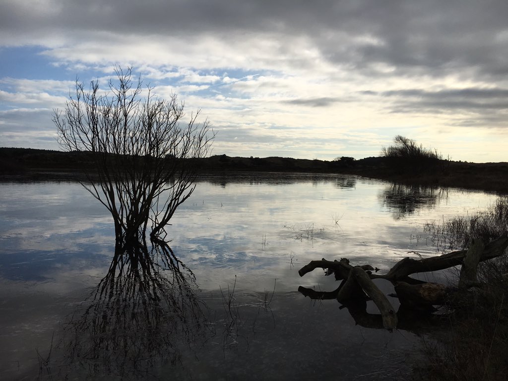 tiddo's tweet photo. #Schoorlseduinen #Schoorl #Holland #duinen #dunes #natuur #wandelen #genieten #inspiratie #vogelmeer #thankful https://t.co/M91iEzcFWf