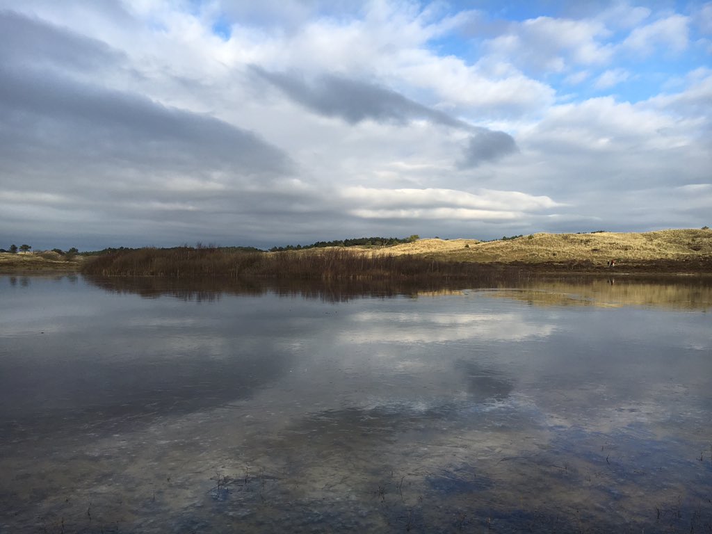 tiddo's tweet photo. #Schoorlseduinen #Schoorl #Holland #duinen #dunes #natuur #wandelen #genieten #inspiratie #vogelmeer #thankful https://t.co/M91iEzcFWf