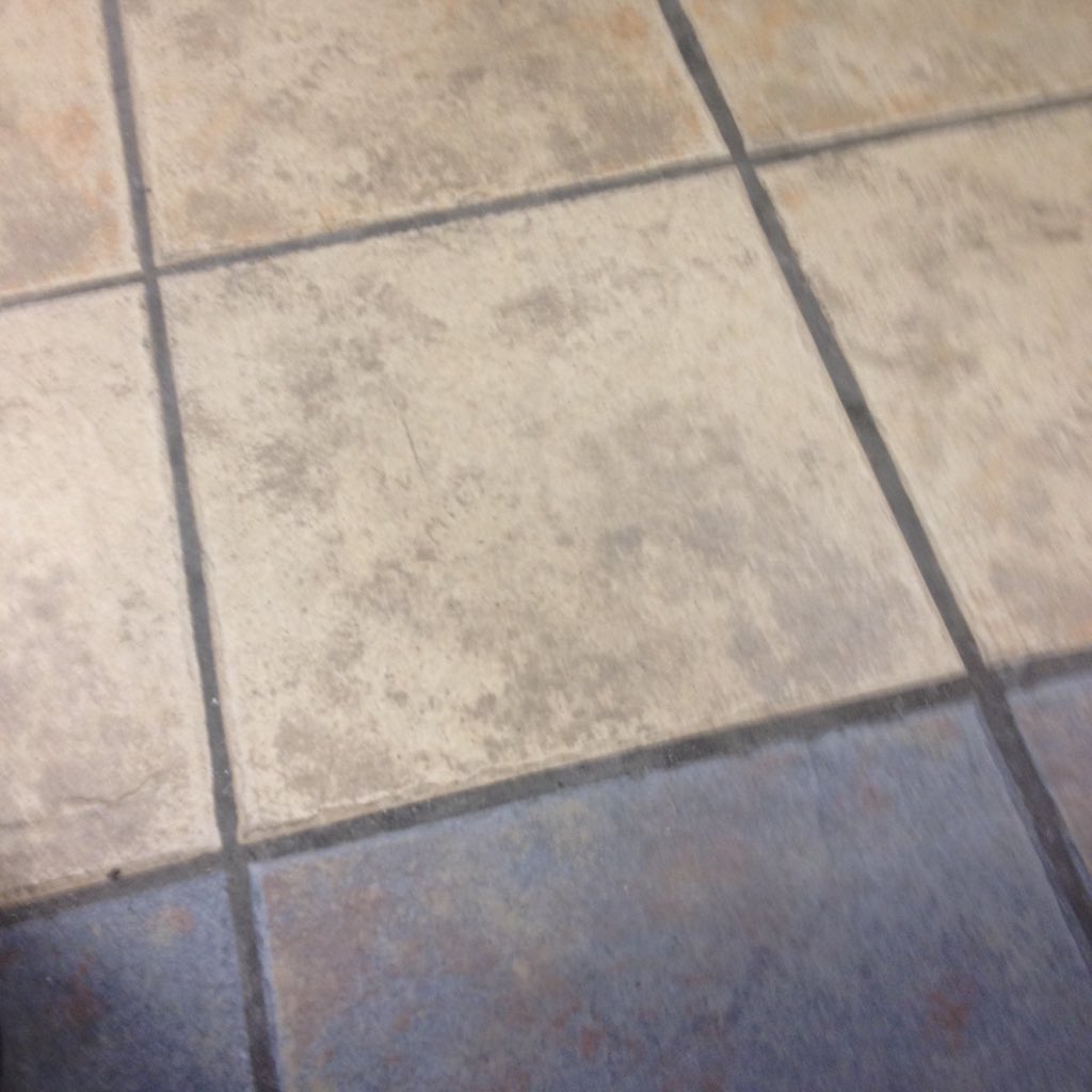 ReitzelBicycle's tweet photo. The passport office floor isn't as great as everyone says #passportofficefloor https://t.co/0nVDfkAaEW