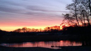 bellinga2's tweet image. Stilte mijnlimericks.nl/stilte/