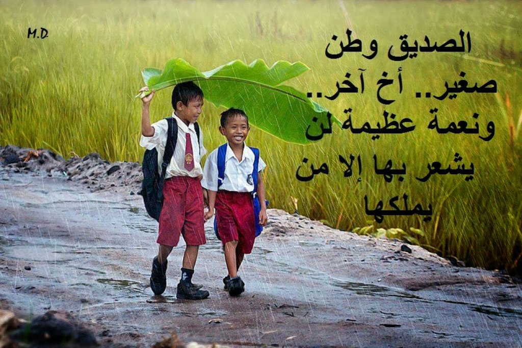 السيد (@hadirhadir066) on Twitter photo 