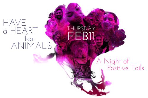 vegansaurus's tweet image. Time to party with @PositiveTails and help some animals!  vegansaurus.com/post/137622489…