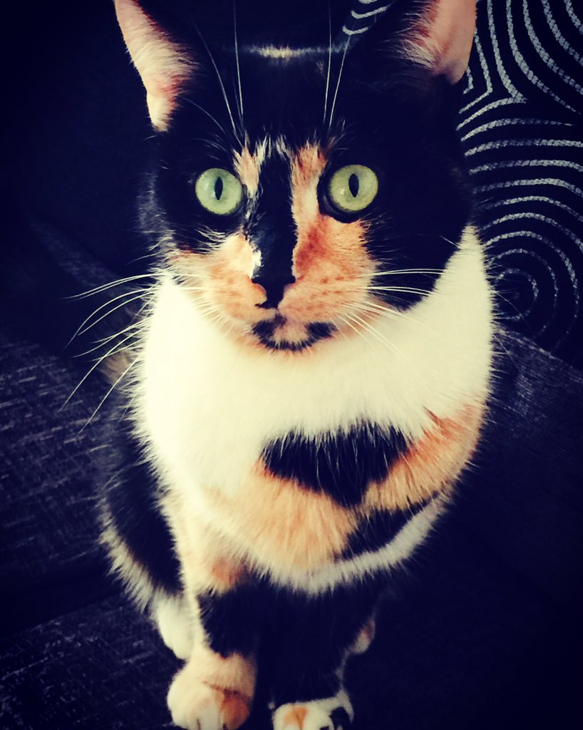 Hey guys follow me on Instagram: kitty_keee and comment on your favourite picture to get a special DM from me☺️