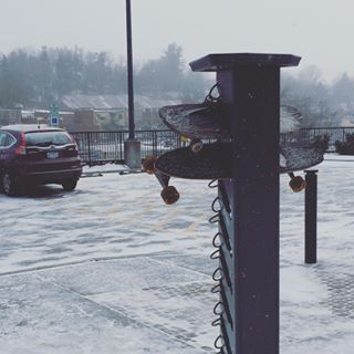 Skateboarding out in the snow at <a href="/AppState/">Appalachian State</a>!
#snow #belowfreezing #skateboarding #ncdownhill