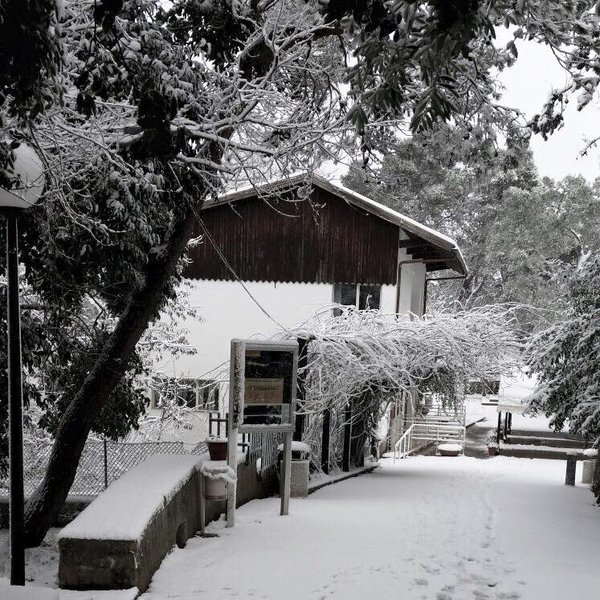 viaggiarepuglia's tweet photo. ❄❄ Buongiorno con la neve ❄❄
Avete imbiancato la gallery #WeAreinPuglia con le vostre foto!

https://t.co/gzaApSxtHj https://t.co/ICgwNmsm0G