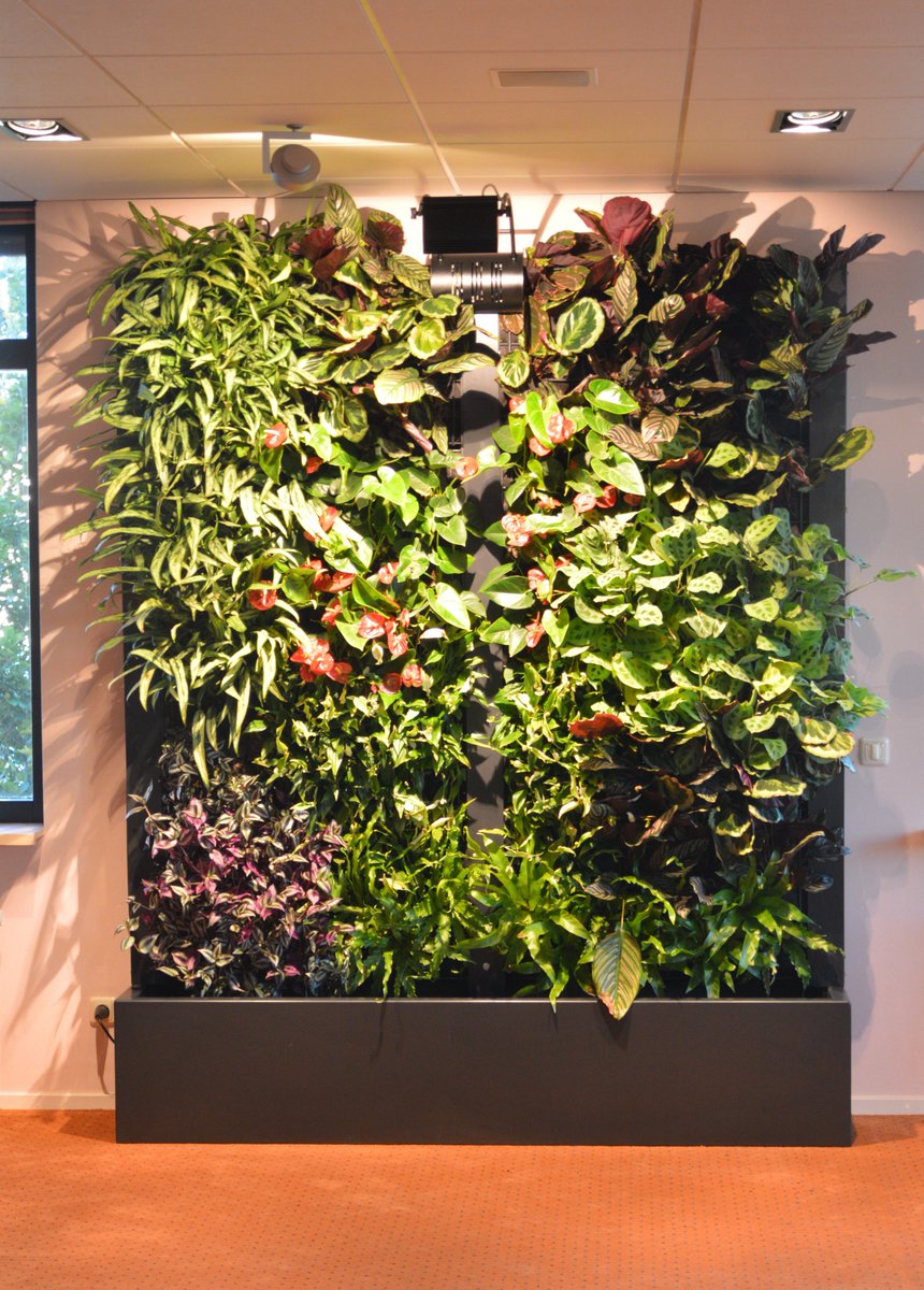 Vertuss Stand-alone vanaf heden in meerdere kleuren verkrijgbaar! #verticaletuin #beleving #duurzaam