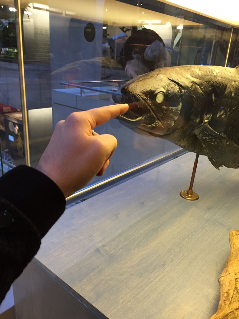 #museonvind pas op, beet...