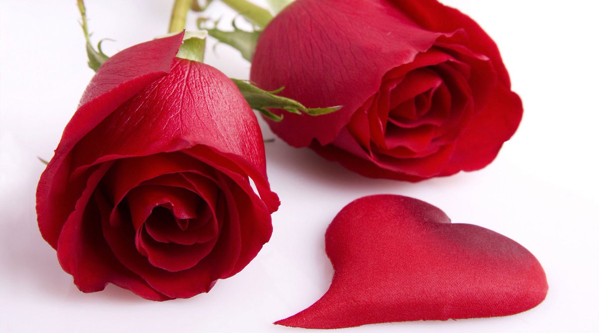 MeravigliosoTo's tweet photo. Anniversario? Festeggialo con una cena romantica! https://t.co/y00GTXN6qm https://t.co/IXZ4dul4US