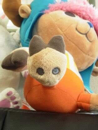 KazuUmekichi's tweet photo. わかる人にはわかる画像w
#わかる人にはわかる
#RAZOKU CAS https://t.co/lueWA6VWes