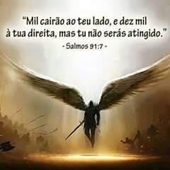 AlineAccioly#Timbeta (@accioly_s) on Twitter photo 