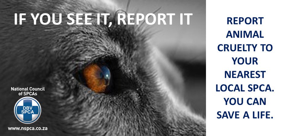 On this #ChooseDay we all speak up for those who can't #AllLivesMatter