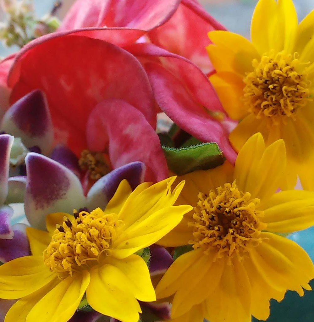 capsulesflowers's tweet photo. #Buenosdías flores de la temporada listas para más accesorios @capsulesflowers #diseñovenezolano #designersvenezuela https://t.co/KPGCQvHo4F