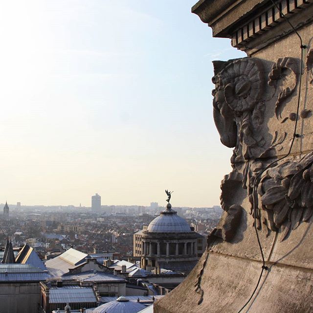 visitbrussels's tweet image. Here´re some of the best #winter #instamoments! Share with us your passion for #Brussels instagram.com/visitbrussels/