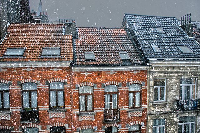 visitbrussels's tweet image. Here´re some of the best #winter #instamoments! Share with us your passion for #Brussels instagram.com/visitbrussels/