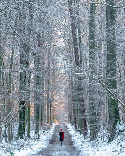 visitbrussels's tweet image. Here´re some of the best #winter #instamoments! Share with us your passion for #Brussels instagram.com/visitbrussels/