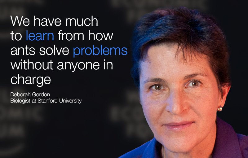 wef's tweet photo. Two lessons for humans from ant colonies https://t.co/LBNgnjlfLY #wef https://t.co/x8ahYEHJVk