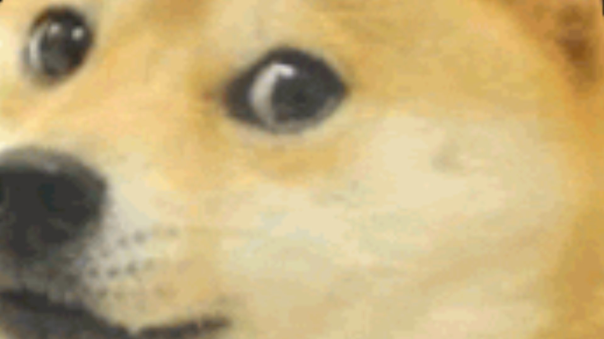 CZF_9QQVAAAeCiH.jpg:large