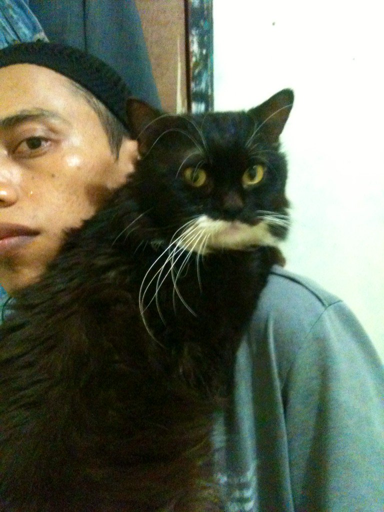 M HIDAYAH TULLAH (@ffarduuu) on Twitter photo 