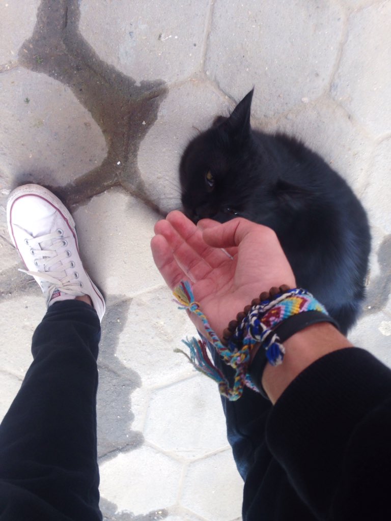 omarmano_'s tweet photo. I made a new friend in like 2 minutes. https://t.co/DvY40hMW25
