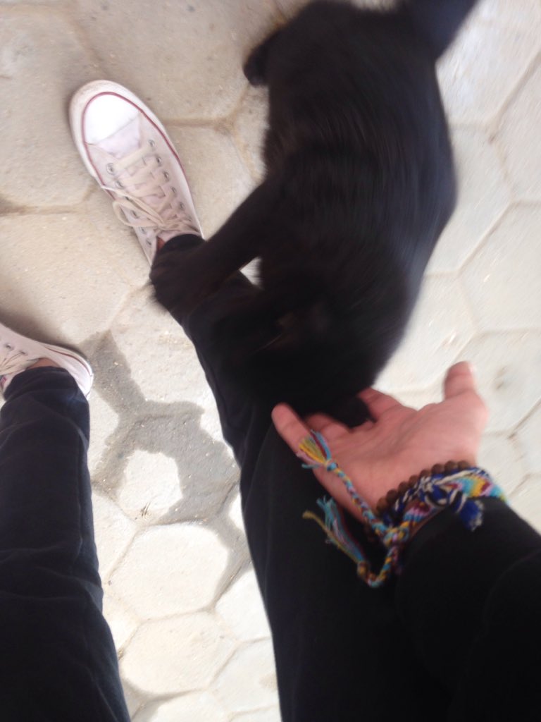 omarmano_'s tweet photo. I made a new friend in like 2 minutes. https://t.co/DvY40hMW25