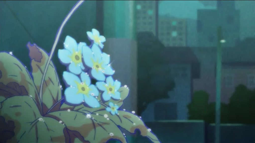 チビ太の花のいのち