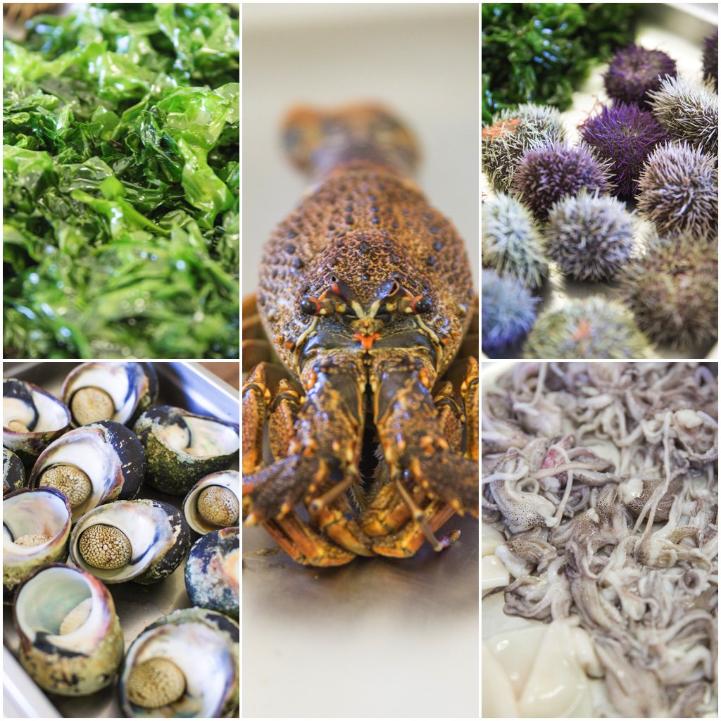 A little taste of what's in store for tomorrow's Ocean Foraging &amp; Wine Tasting experience with chef <a href="/GustaafBoshoff/">Gustaaf Boshoff</a>