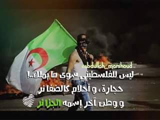 JijelMari's tweet photo. جزائرية وافتخر  فلسطين  اعشققك هكدا علمني والديا فنحن في الجزائر اول درس نتعلمه فلسطين الشهداء. https://t.co/9s6eikgW5u