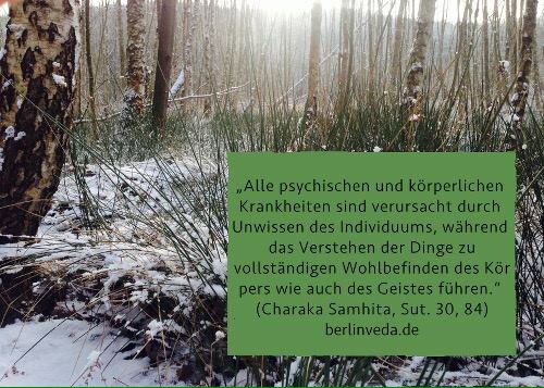 berlinveda's tweet photo. Charaka war Ayurveda-Arzt und Verfasser der Charaka Samhita (ca 2000 Jahre alt) #Ayurveda #Gesundheit https://t.co/ohc47SJAje